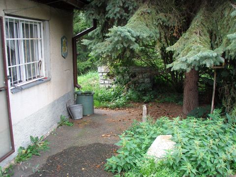 Foto 21